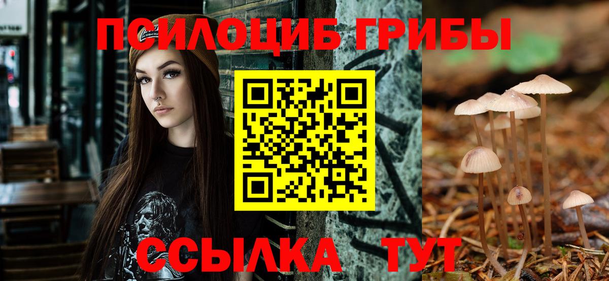 Псилоцибиновые грибы мухоморы Минеральные Воды