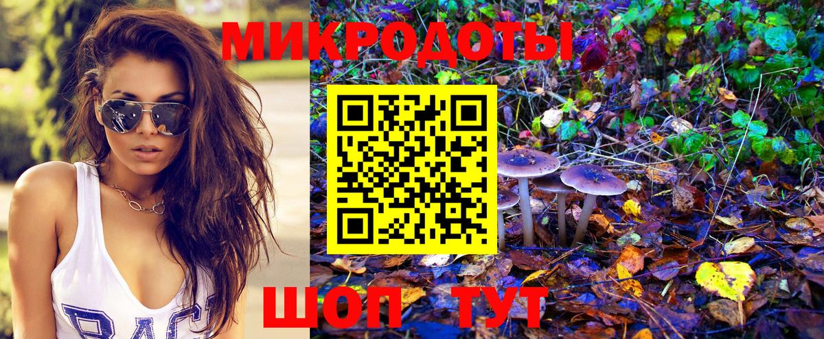 Псилоцибиновые грибы Psilocybine cubensis  Псилоцибиновые грибы прущие грибы  Вход с VPN  наркота  Минеральные Воды 